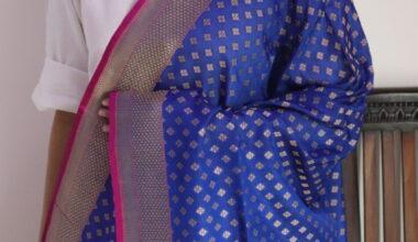 Blue Diamond Booti Cutwork Handloom Banarasi Dupatta