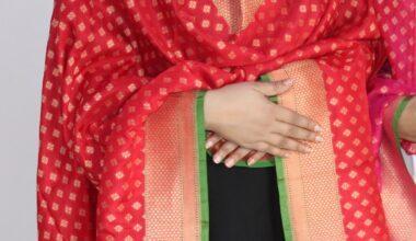 Red Small Booti Cutwork Handloom Banarasi Dupatta