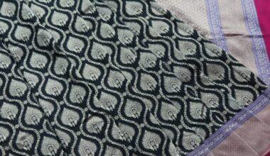 Leaf Black Banarasi Handloom Saree (Cutwork/Phekua)