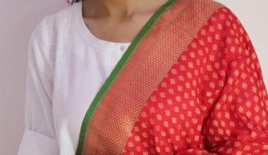 Red Leaf Booti Cutwork Handloom Banarasi Dupatta