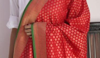 Red Booti Cutwork Handloom Banarasi Dupatta