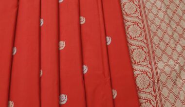 Red Handloom Banarasi Saree with Golden Zari Weaving
